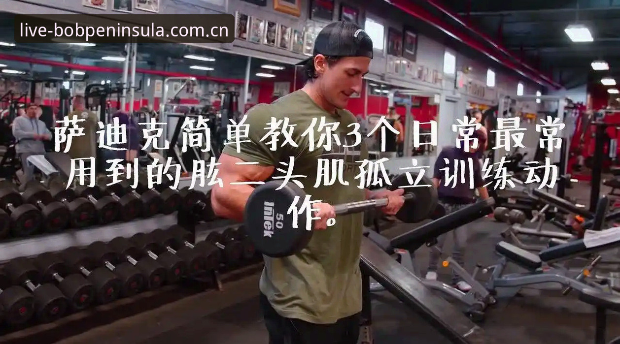 bob体育平台深度评测：半岛体育入口常见问题全解析，从卡顿到客服的完整解决方案